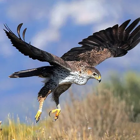 別荘 Vacation Latini *