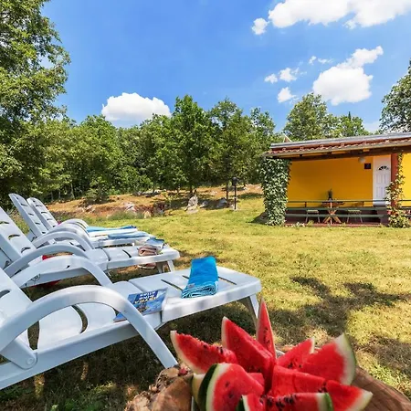 Vacation Latini * Hum